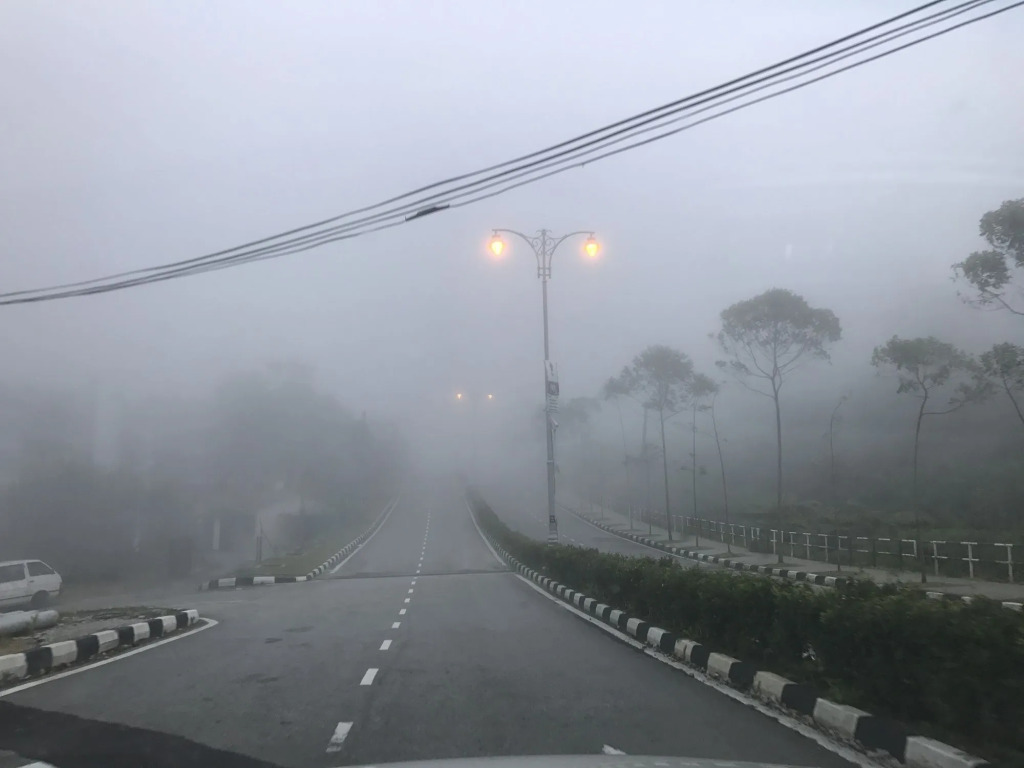 Misty Forest II - 9 Pax Next To Night Market