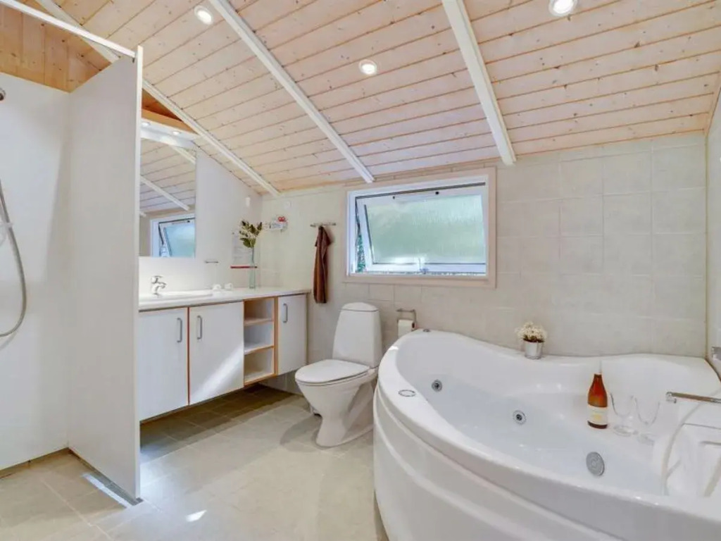 "Grozdan" - 700m from the sea in NW Jutland