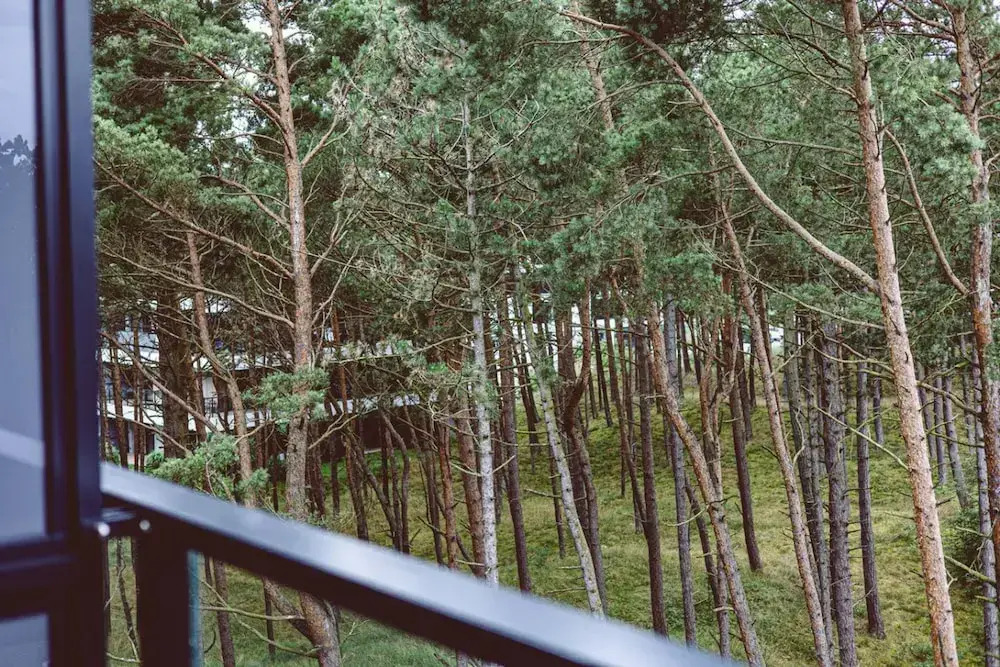 Honesto - Spacerem do Morza Komfortowy Apartament