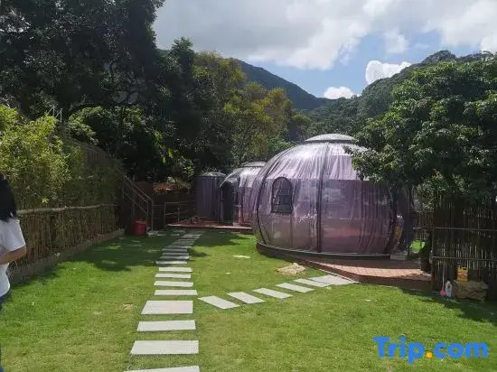 Guangzhou Conghua Qingfeng Xiaozhu Starry Sky Homestay