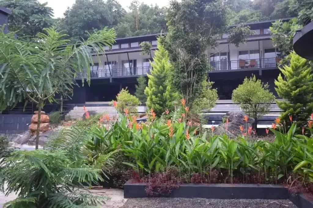 Sattva The Awakening Garden