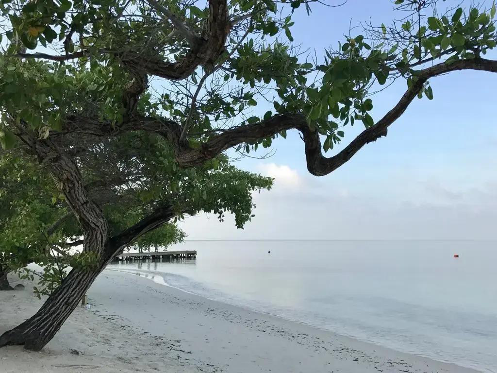 SABAI Beach Hotel