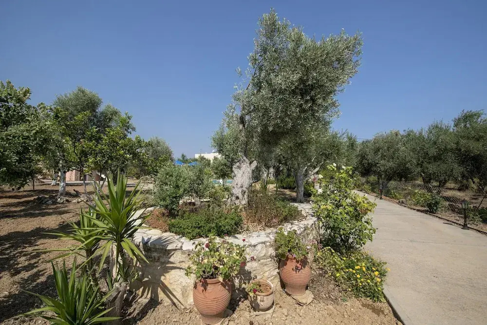 Villa in Crete near Rethymno Beach