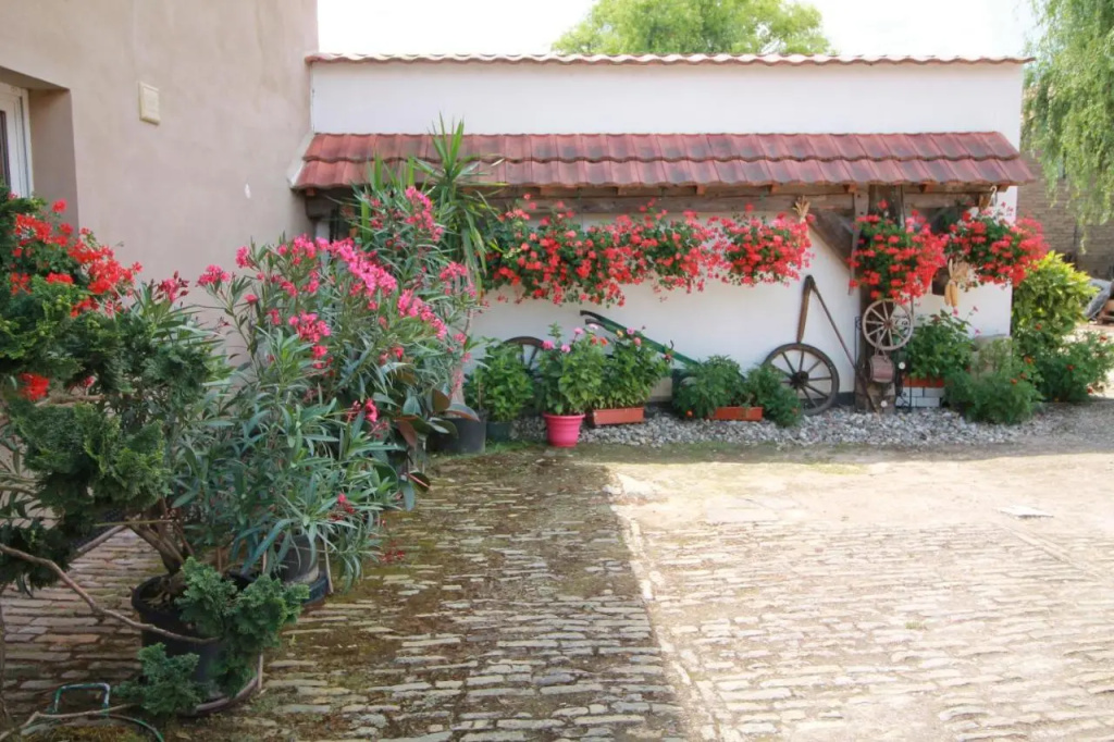 La chambre aux hirondelles