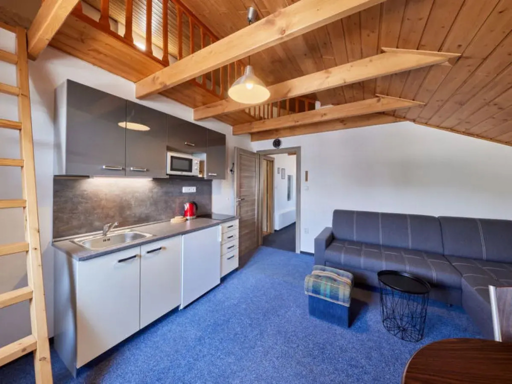 Apartment Marika 2 Cerny Dul