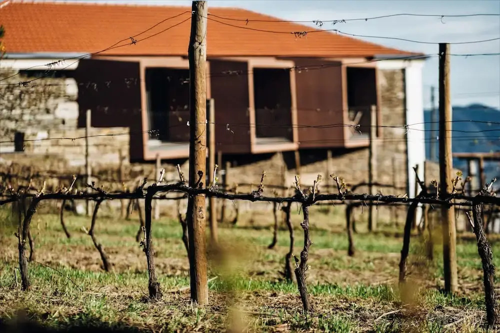 Casa do Santo - Wine & Tourism