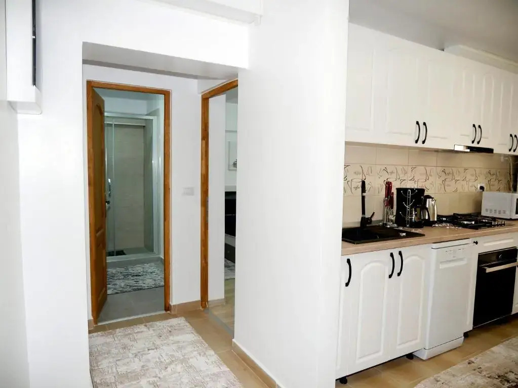 Apartament David