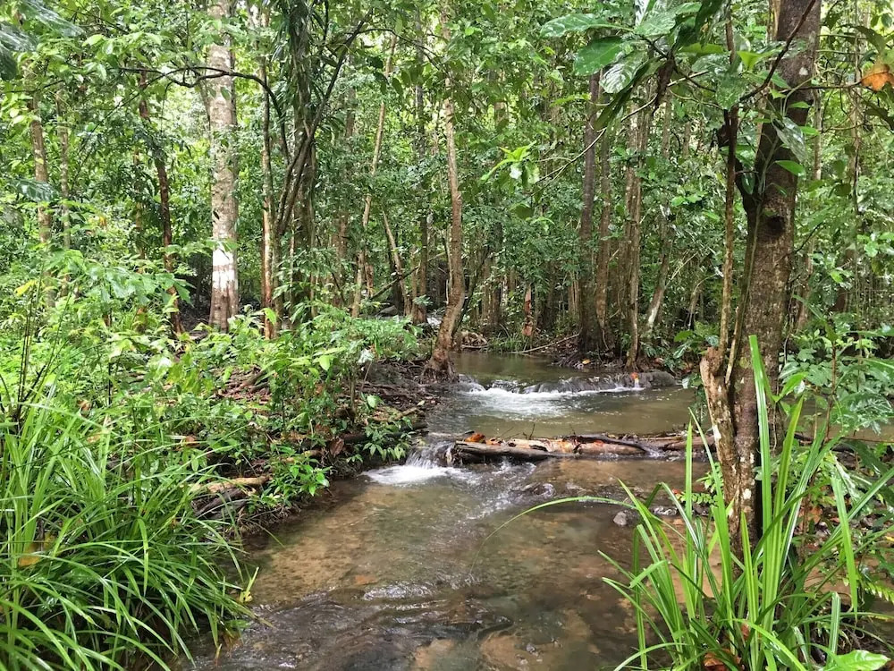 Peaceful House Surrounding by Nature Krabi Province