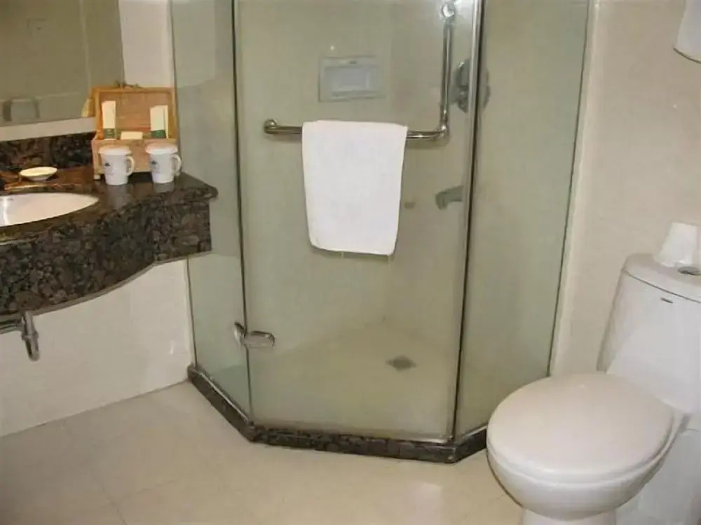 GreenTree Inn Shenzhen Dongmen Hotel
