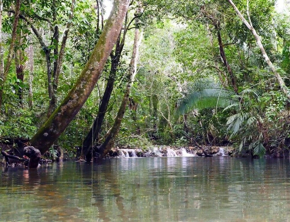 Lower Dover Jungle Lodge & Maya Ruins - Hostel