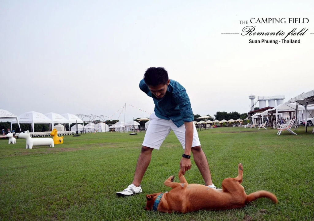 The Camping Field