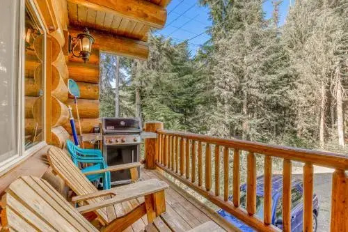 Skiing Bear Chalet