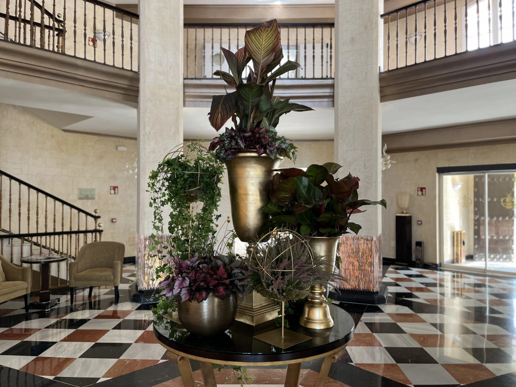 Healthouse Apartments