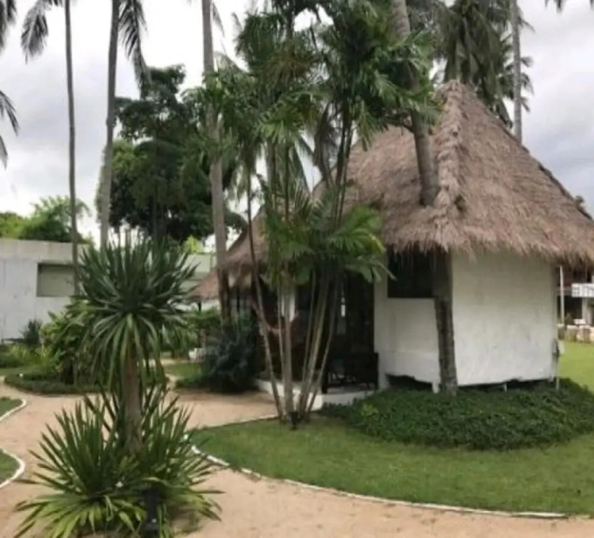Wild Wood x Hansa Beach Fitness Resort