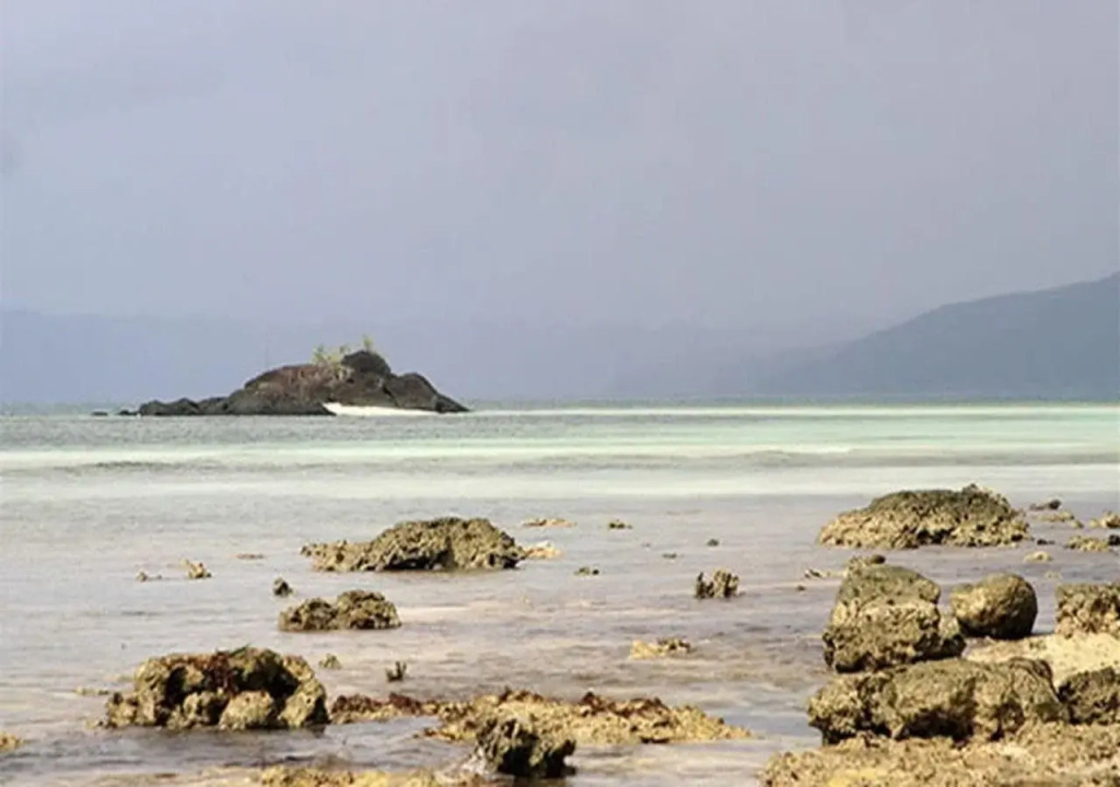 Tarzans Beach Resort