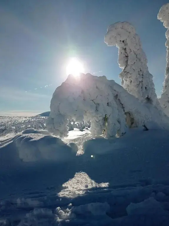 Stodola Harrachov