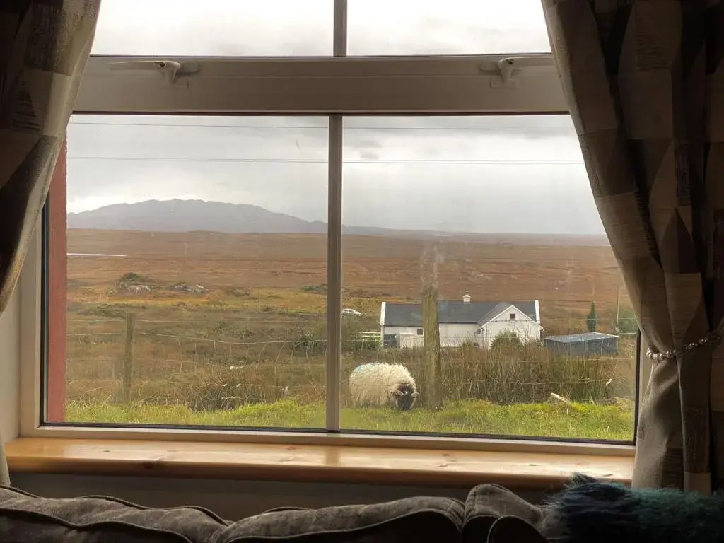 Cottage 427 - Clifden