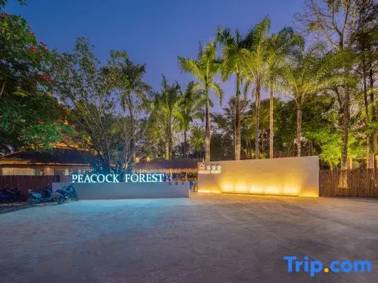 Xishuangbanna Peacock Valley Hot Spring VILLA Resort