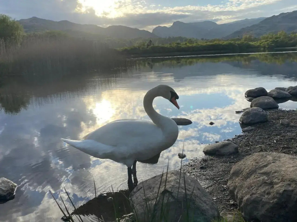 Elterwater Park Country Guest House