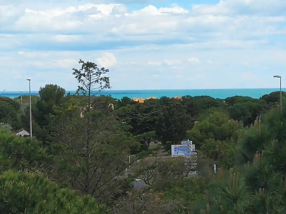 Cap Confort