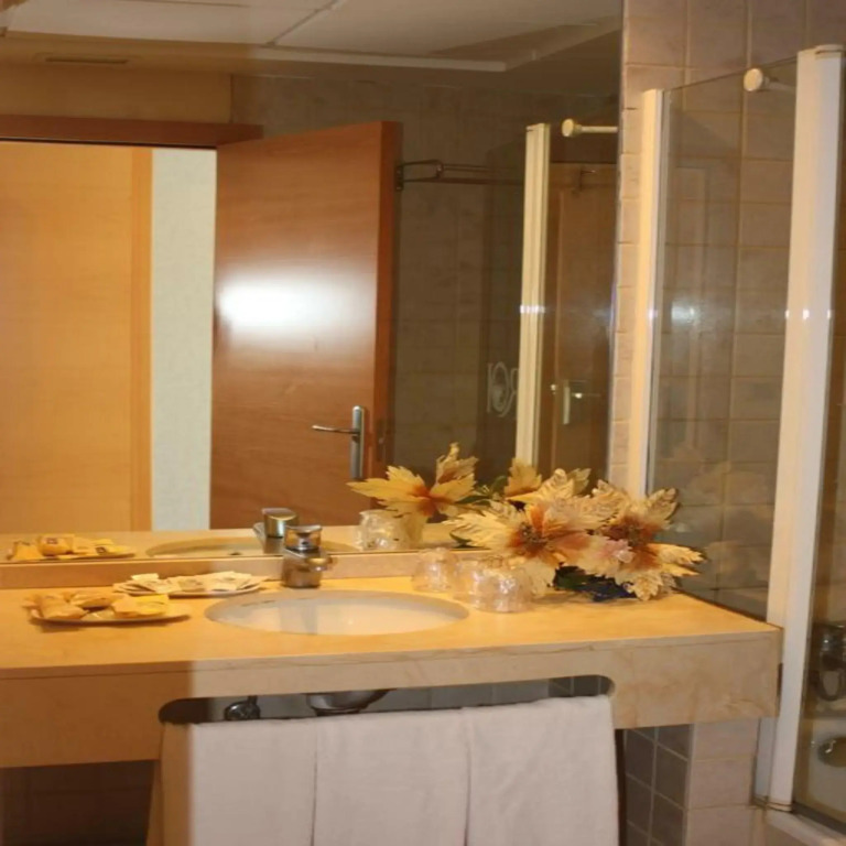 Hotel Rober Palas