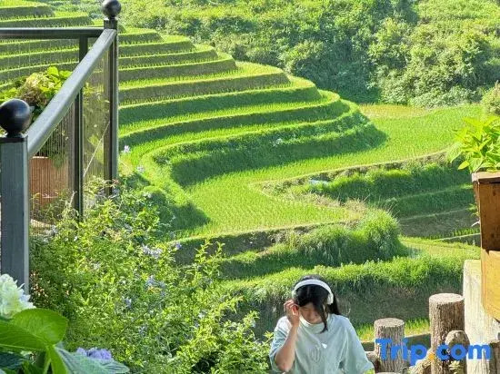 Yunyaqinqi Guesthouse