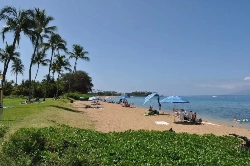 Private Kaanapali Cottage / Walk To The Beach/Serene Gardens cottage