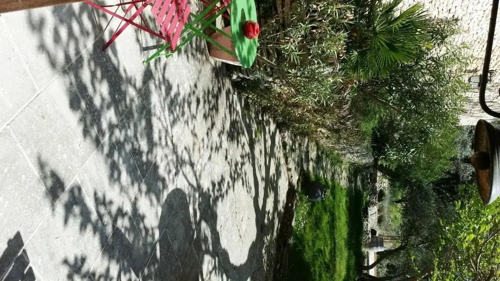 Charm in Provence