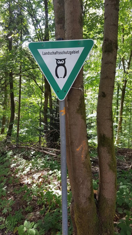 Schöner Weitblick