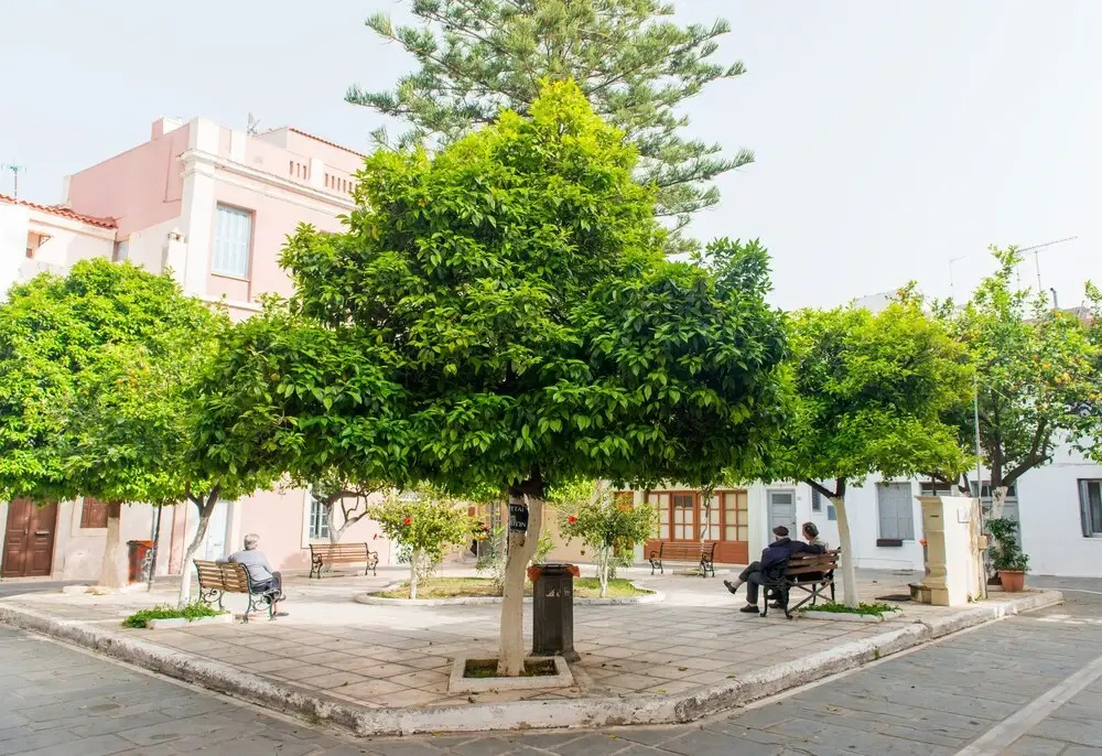 Mat Old Town Apartments B