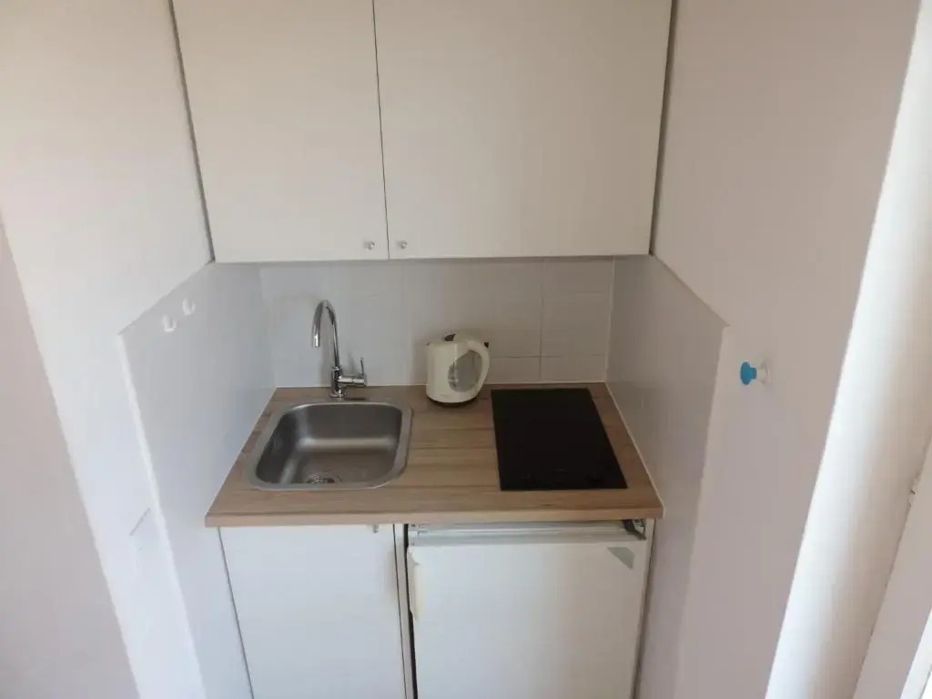Apartment Vidas