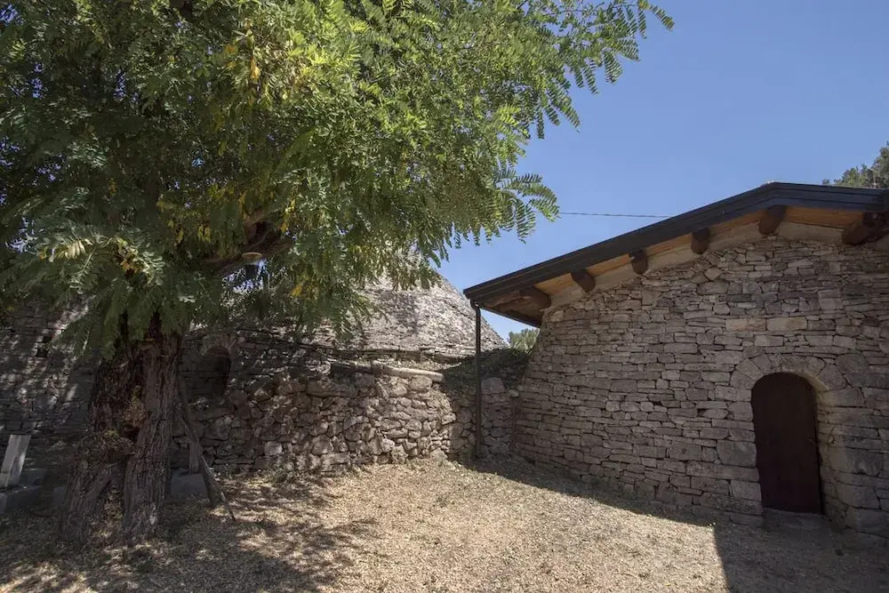 MASSERIA CITULO Il Pino grande