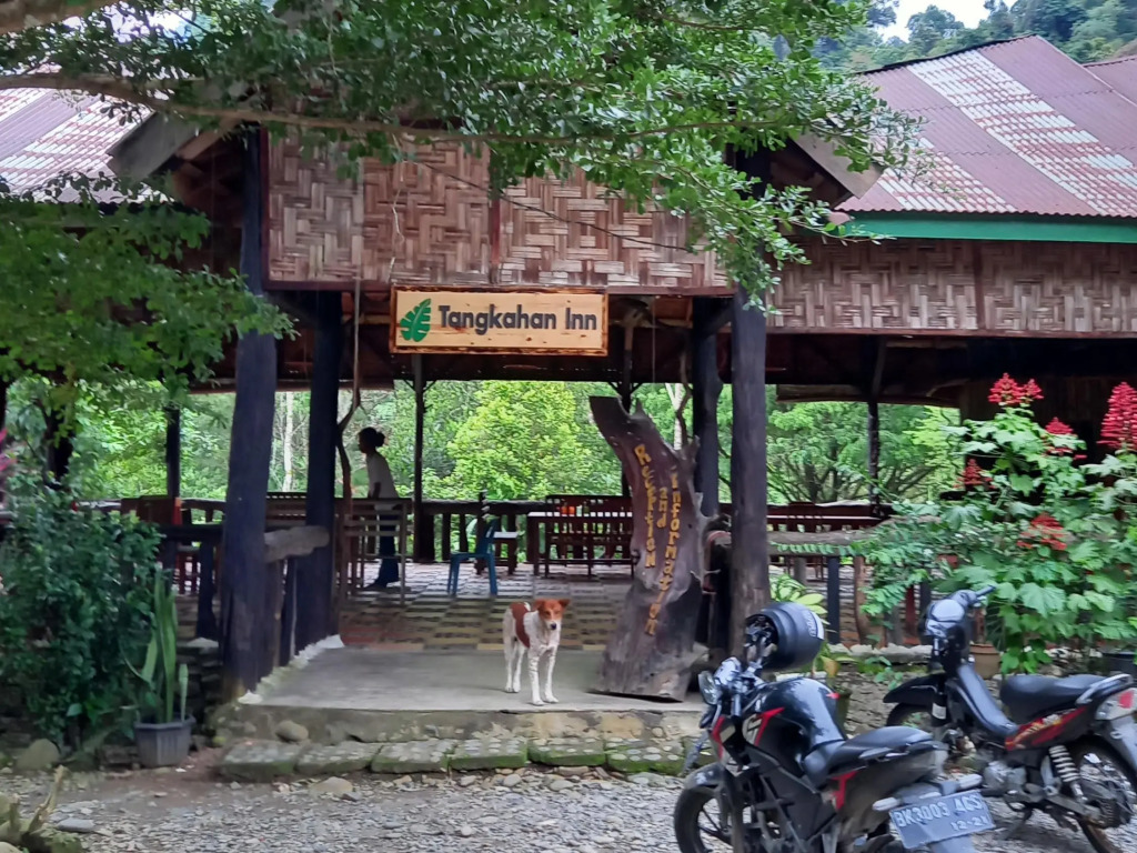 Tangkahan Inn RedPartner