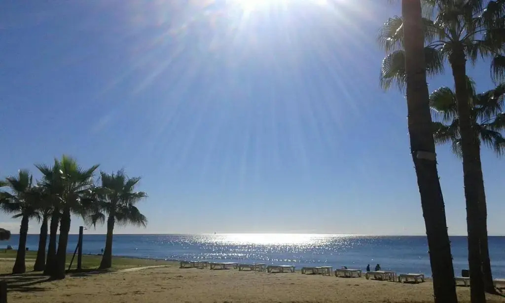 beach & center premium