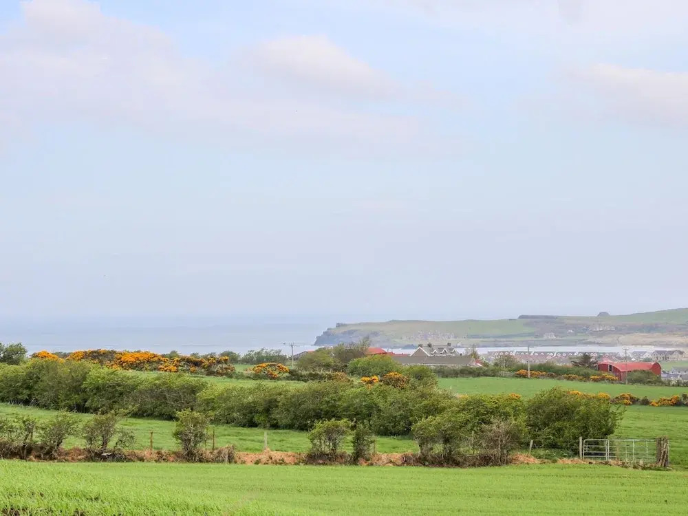 Causeway View