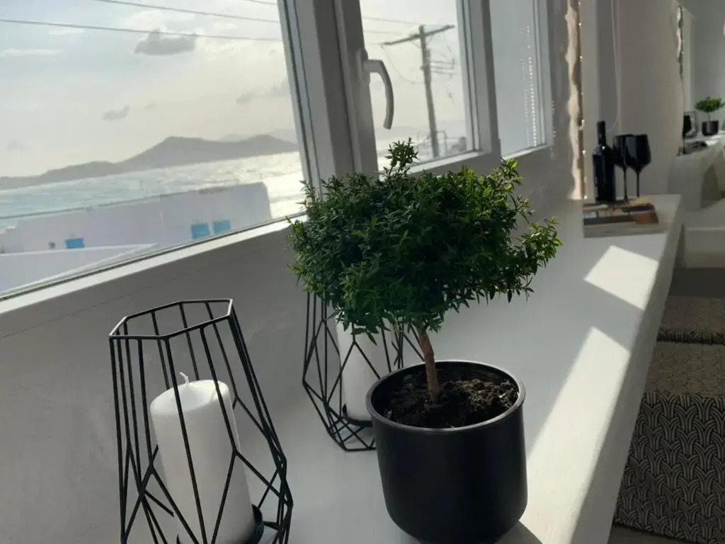 Studios Panos