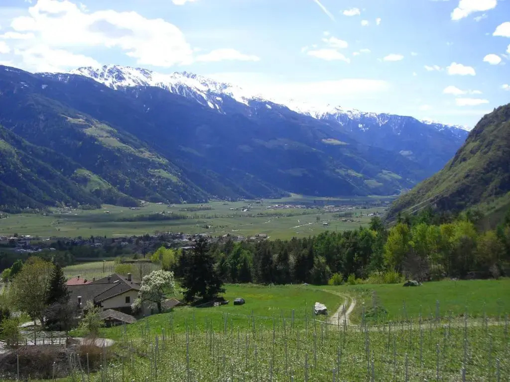 Mareinhof - Urlaub auf dem Apfelbauernhof