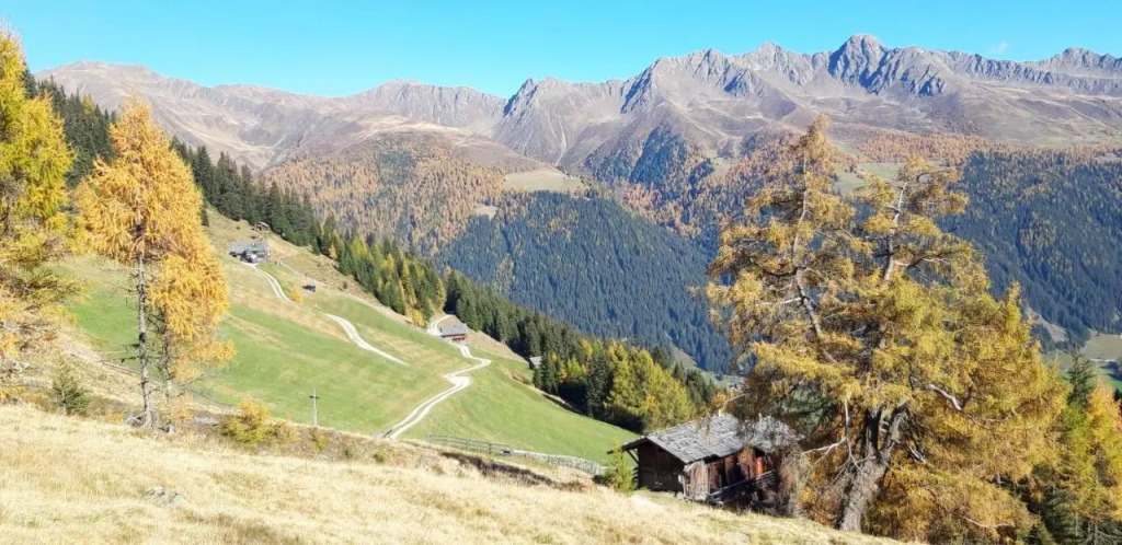 Haus Schaller