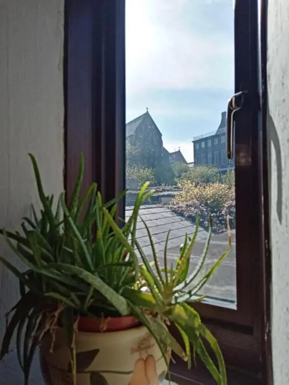 Townhouse Wexford - Private Garden