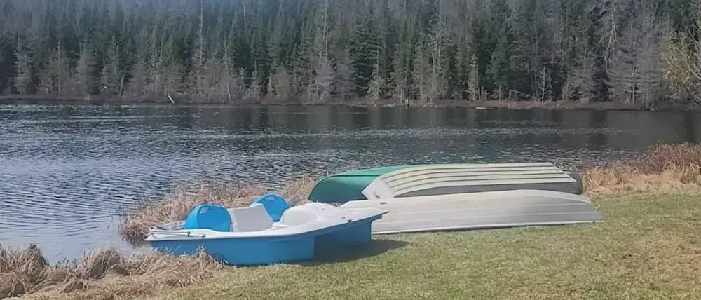 Ladd Pond Cabins and Campground