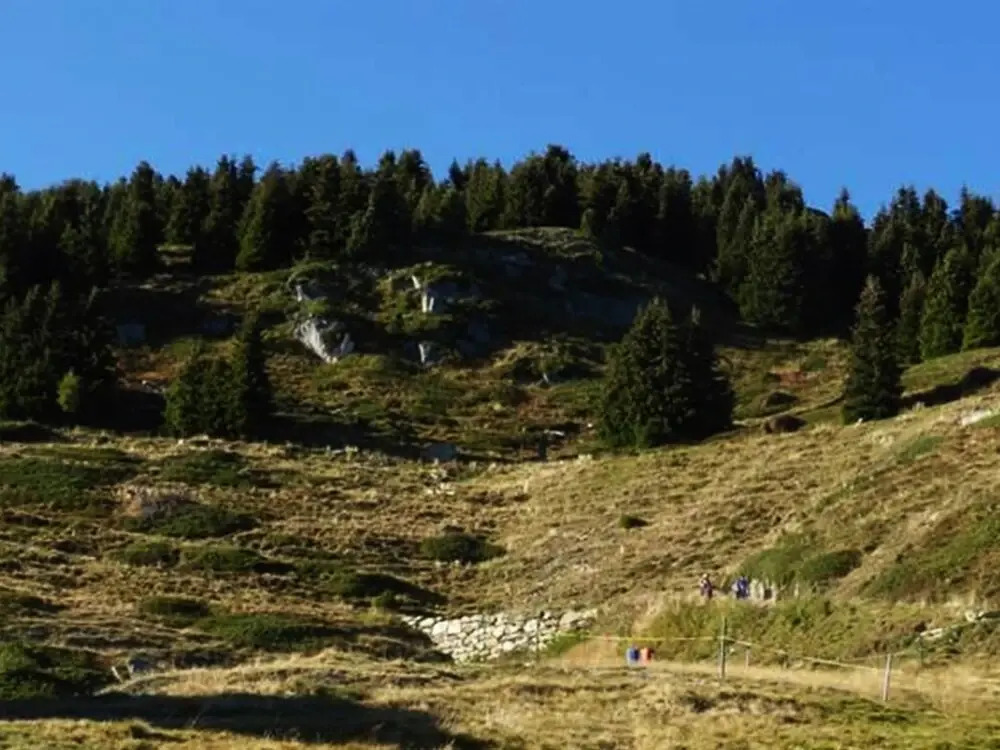 Arve Nr 4 2 Stock Riederalp