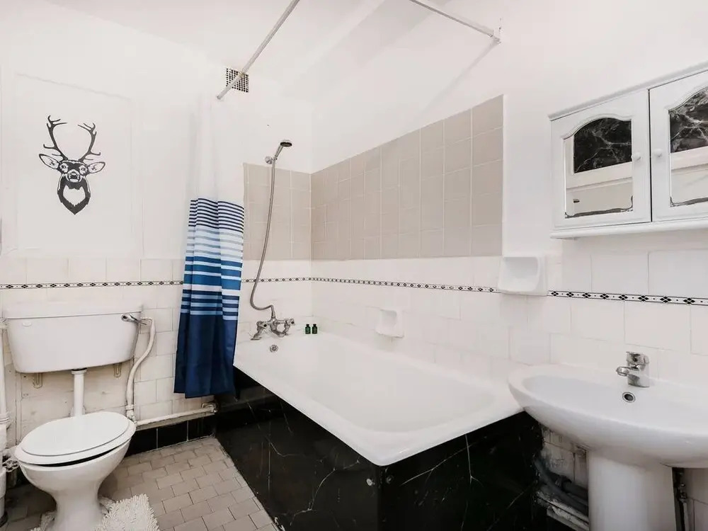 Spacious Apartment Near Hyde Park