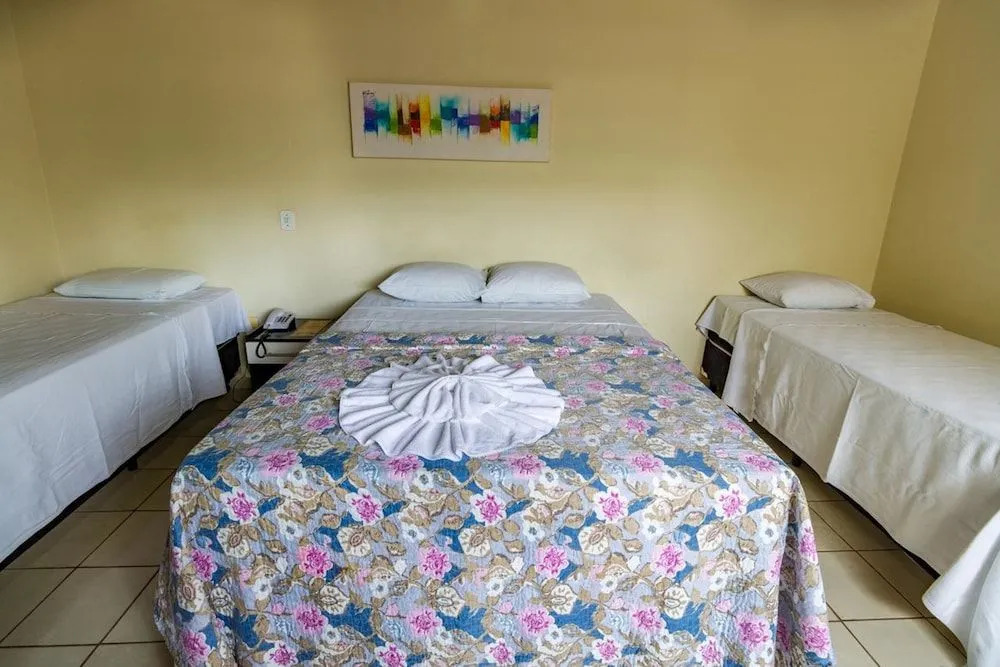 New Anapolis Hotel by OYO Rooms