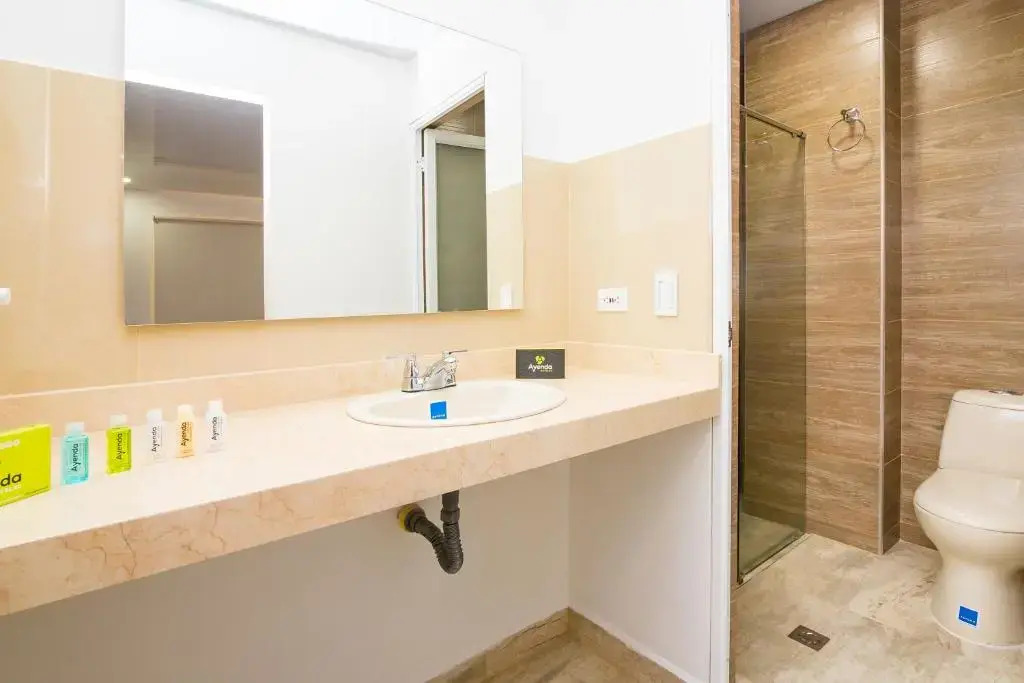 Aparta Hotel EcoSuite