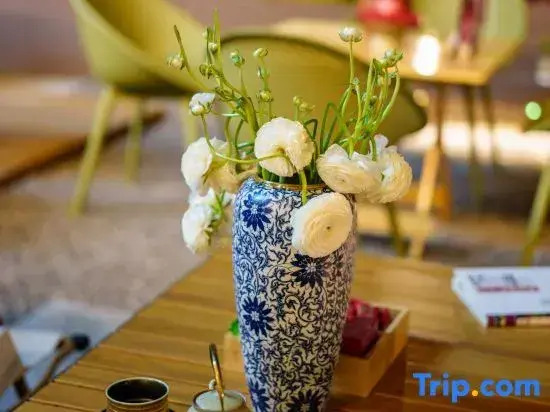 Shangjin · Private  Rooftop Garden Star River Lake View Tea · Coffee Travel Vacation Stay