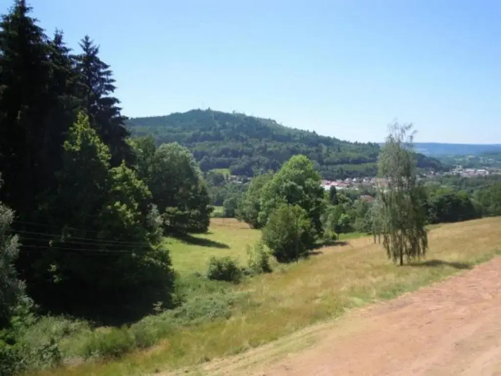 "Chalet Confort 3 Chambres avec Cheminée au Cœur des Vosges, près de Colmar et Route des Crêtes" - FR-1-589-267