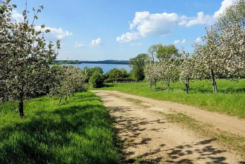 The Hide At Manton Bay Glamping Retreat