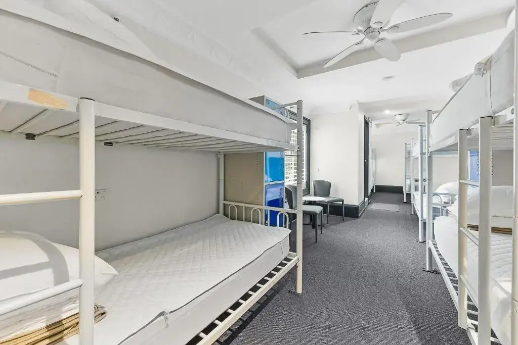 London Plane Backpackers