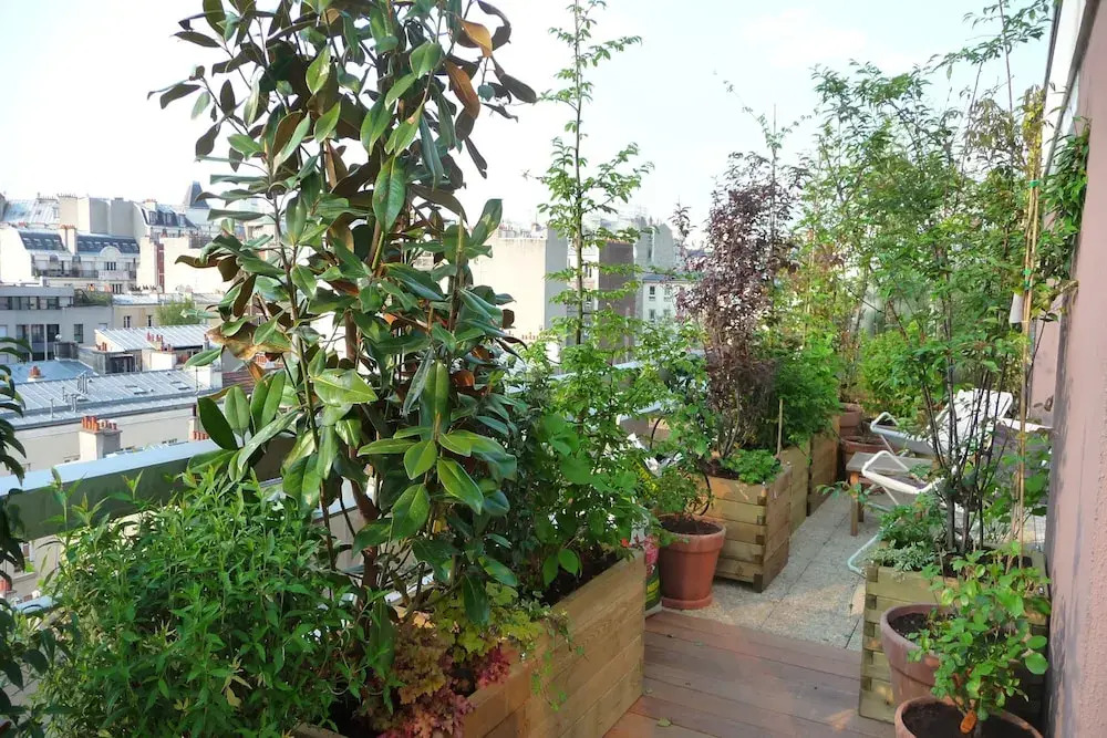 Penthouse avec terrasse