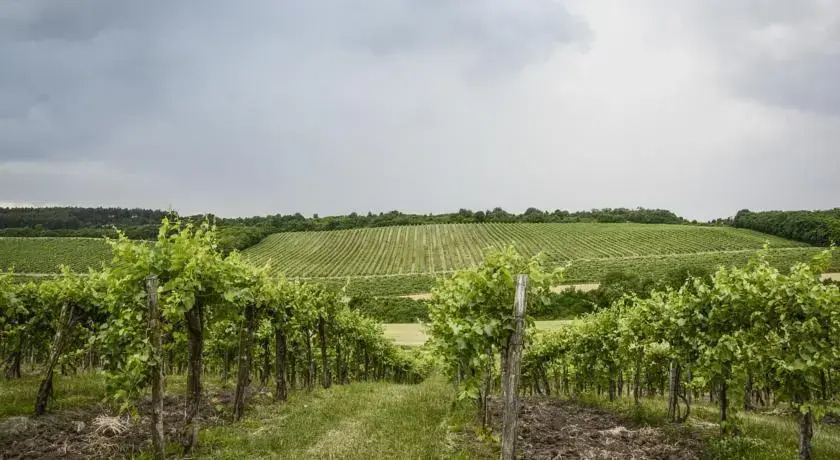 Bike & Wine Cottage